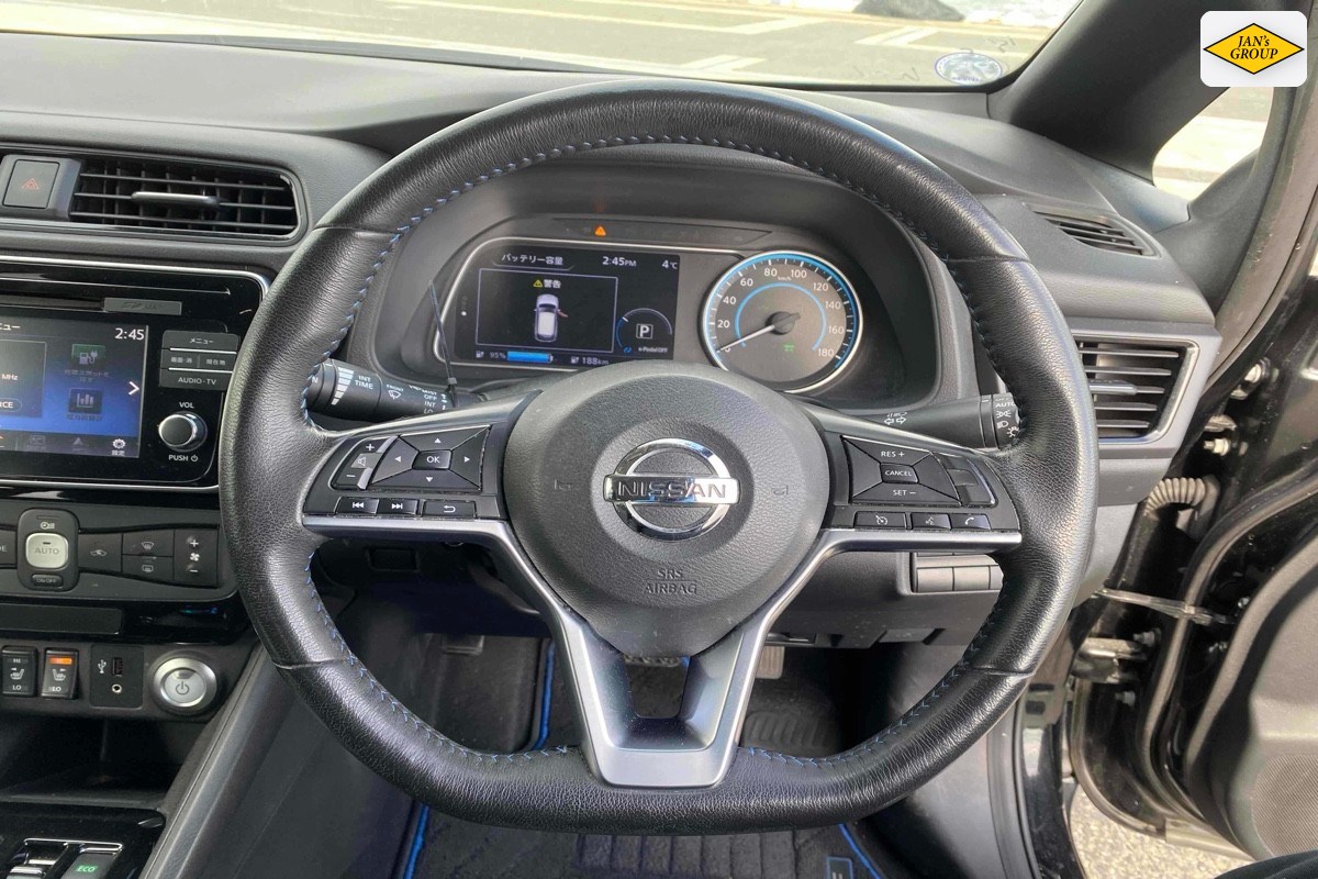 2019 Nissan Leaf