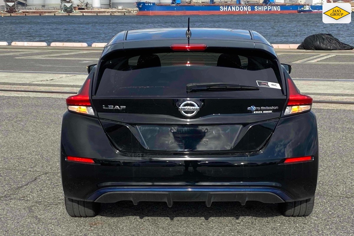 2019 Nissan Leaf