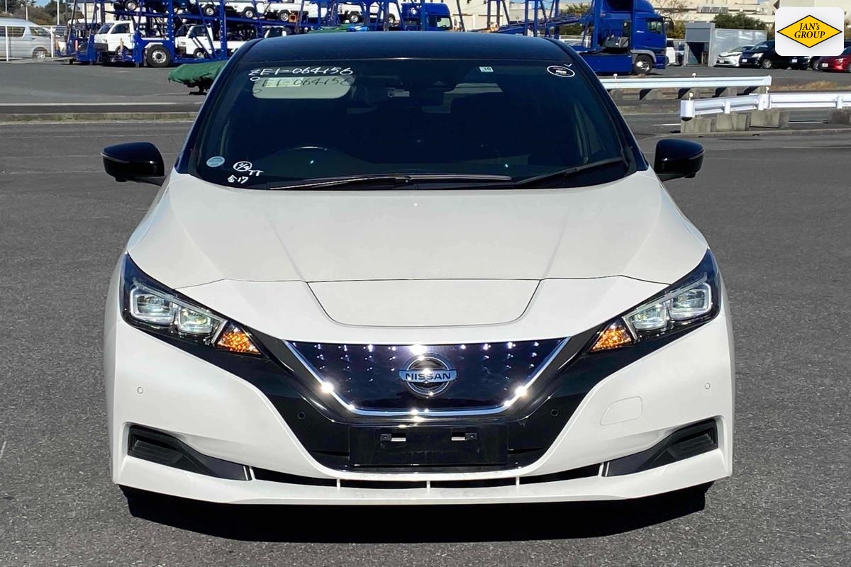 2019 Nissan Leaf